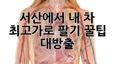 🚗 서산에서 내 차 최고가로 팔기! 꿀팁 대방출 🍯