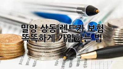 밀양 상동 렌트카 보험, 똑똑하게 가입하는 법 😎