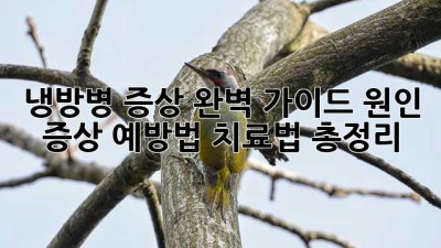 냉방병 증상 완벽 가이드: 원인, 증상, 예방법, 치료법 총정리